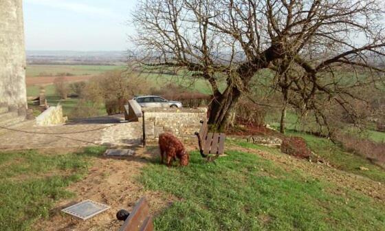 Bed and Breakfast Chambres D'hôtes Notre Paradis