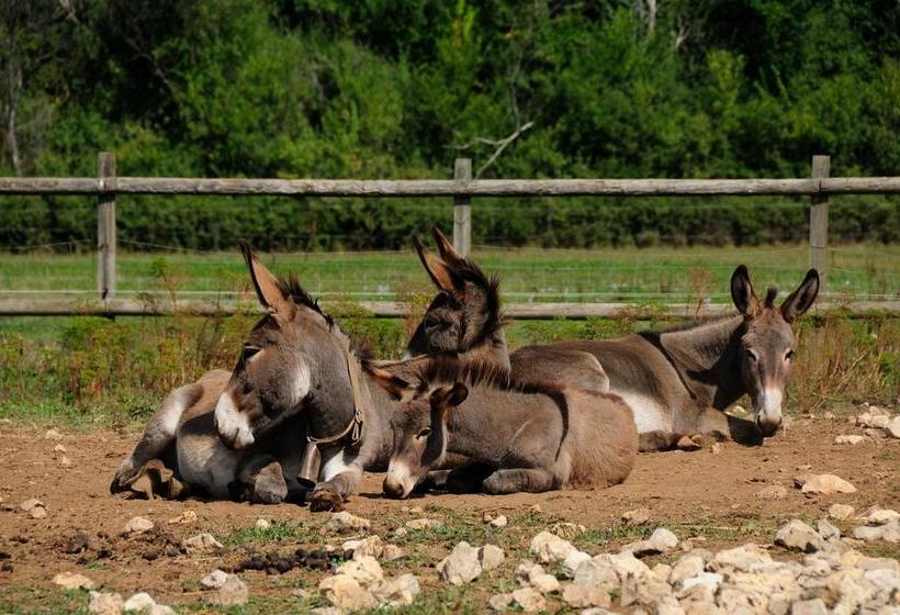 住宿加早餐  Domaine De Majastre
