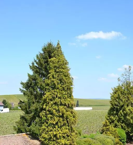 Aamiaismajoitus (B&B) La Villa Champagne Ployez Jacquemart