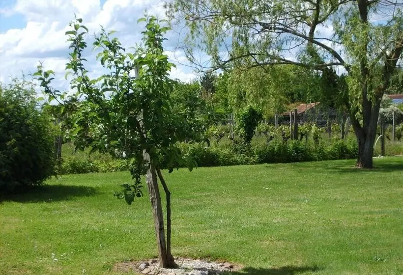 Aamiaismajoitus (B&B) Le Chalet Des Vignes