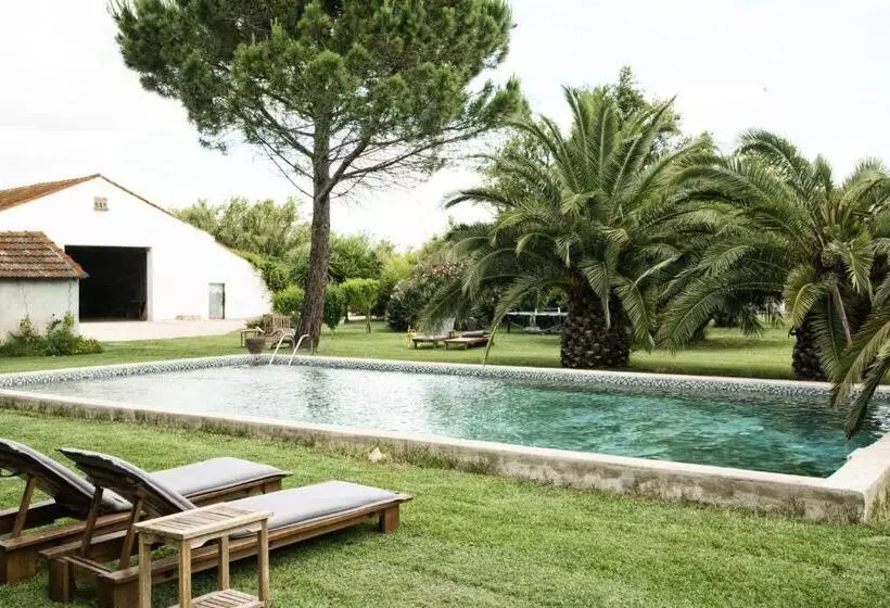Aamiaismajoitus (B&B) Mas De Bouvet En Camargue