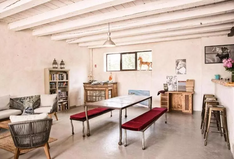 Aamiaismajoitus (B&B) Mas De Bouvet En Camargue