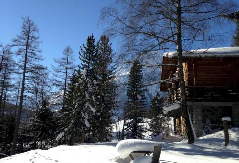 تختخواب و صبحانه The Guest House