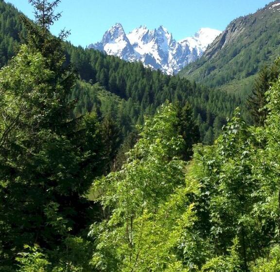 تختخواب و صبحانه The Guest House