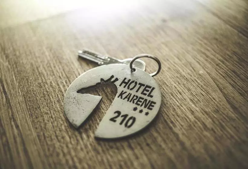 Hotel Hôtel Karène