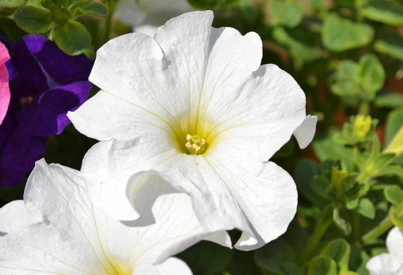 Отель Hôtel Le Grand Fond