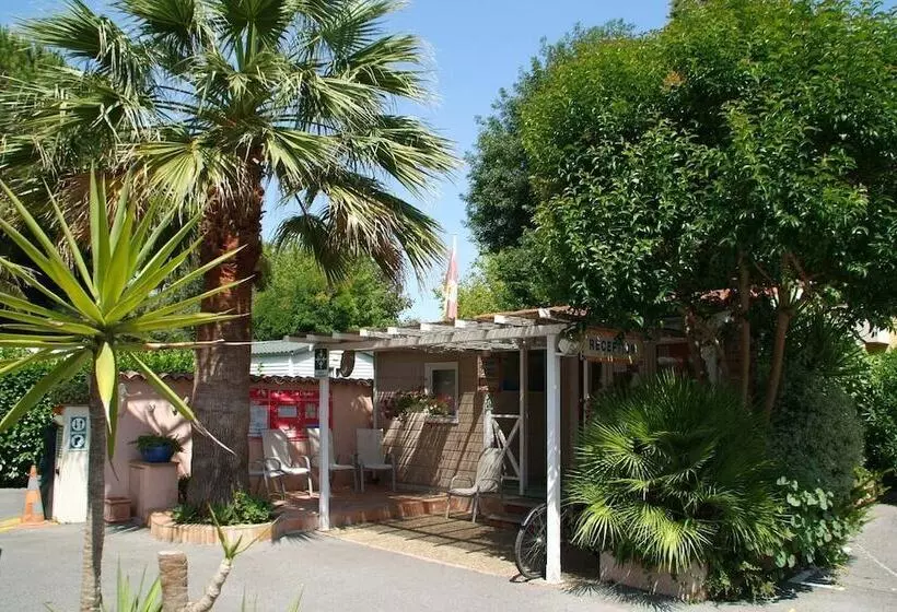 استراحتگاه Camping Les Cigales