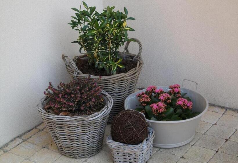 تختخواب و صبحانه Ferme De La Canardière