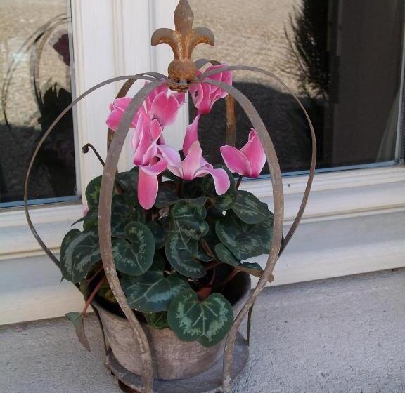 تختخواب و صبحانه Ferme De La Canardière