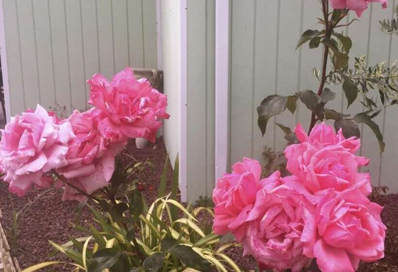 Fasthotel Toulouse Muret