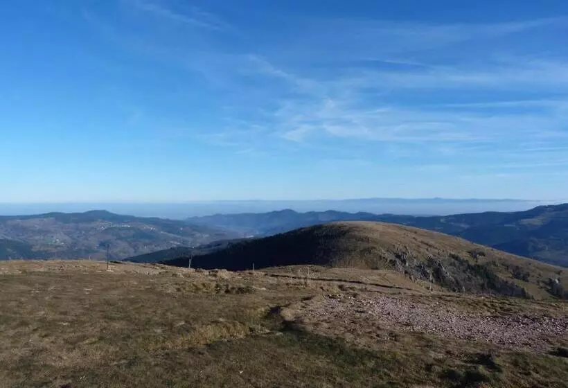 ホテル Domaine Des Hauts Viaux