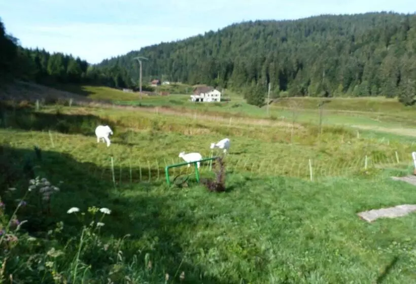 ホテル Domaine Des Hauts Viaux