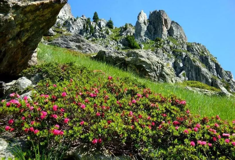 Hotelli Auberge La Douce Montagne