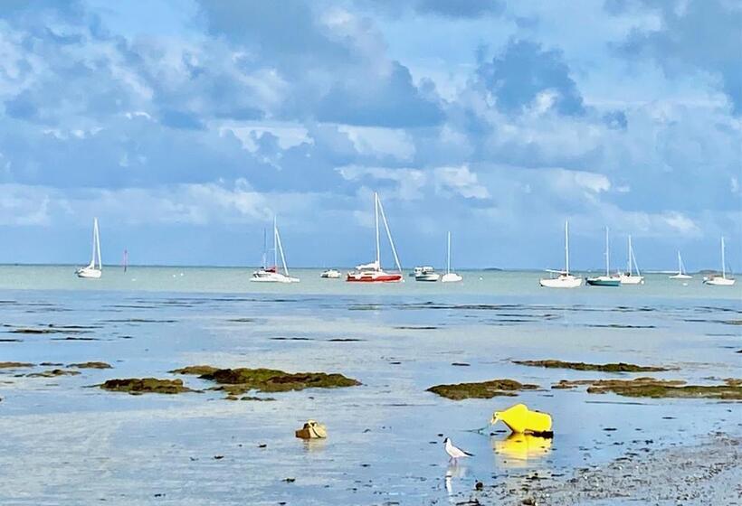 فندق Hôtel L Albatros