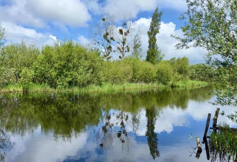 فندق Hôtel L Albatros