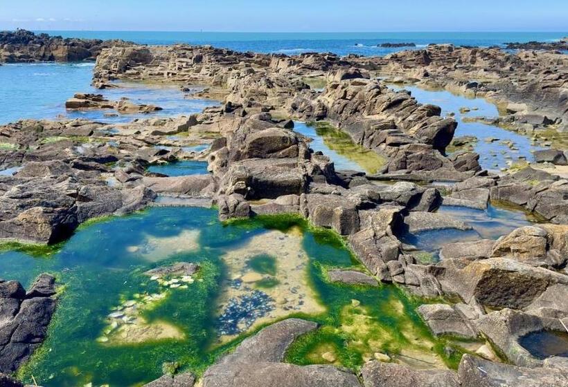 فندق Hôtel L Albatros