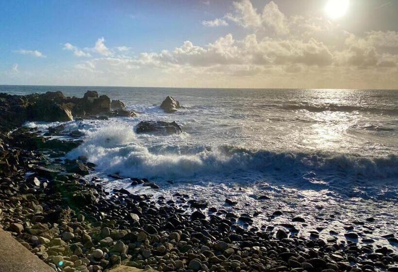 فندق Hôtel L Albatros