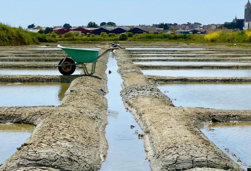 فندق Hôtel L Albatros