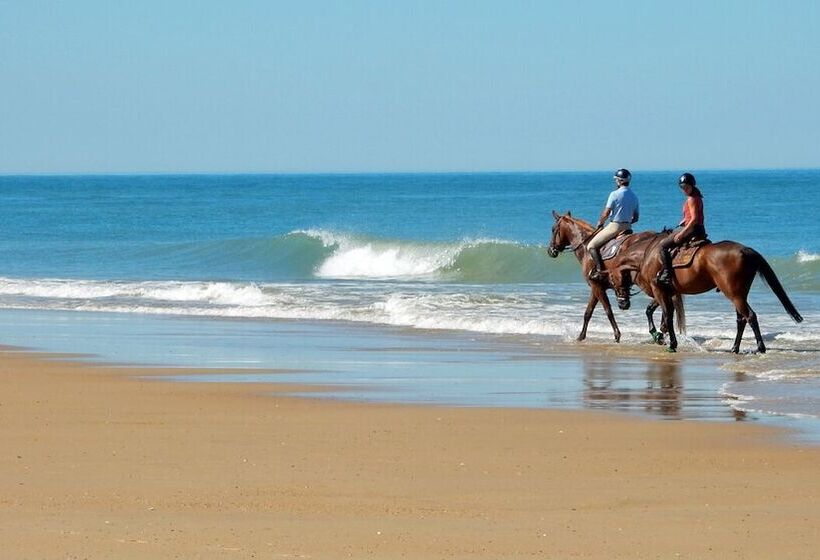 فندق Hôtel Résidence Les Flots