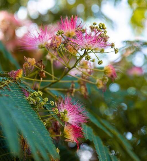 Отель Le Clos Marcel
