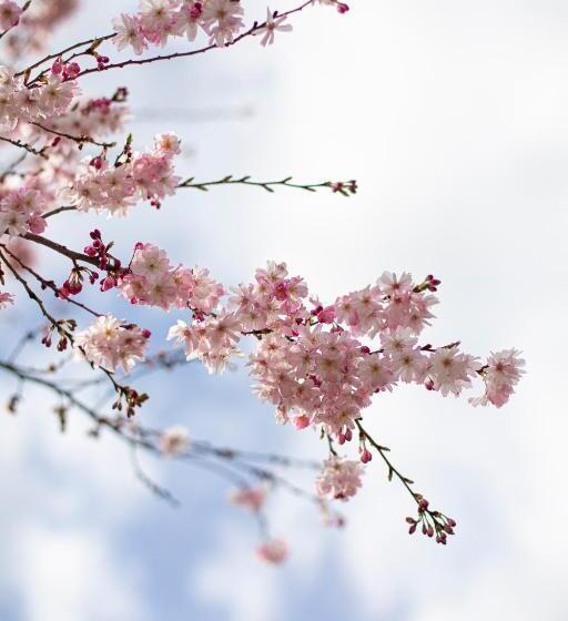 Отель Le Clos Marcel