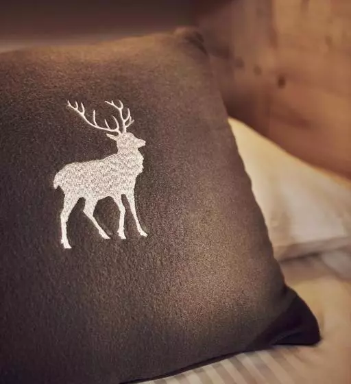 هتل Le Lodge Chasse Montagne