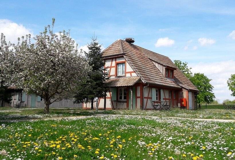 Отель Les Loges De L Ecomusee D Alsace