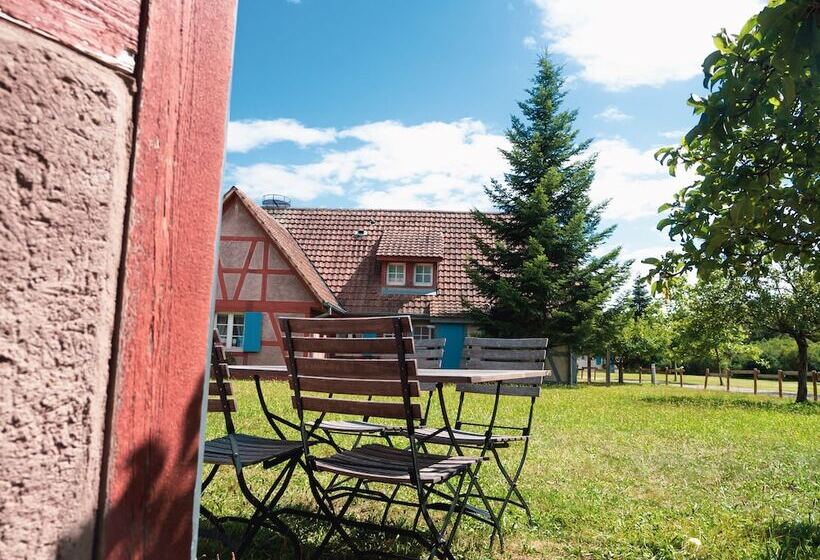 Отель Les Loges De L Ecomusee D Alsace