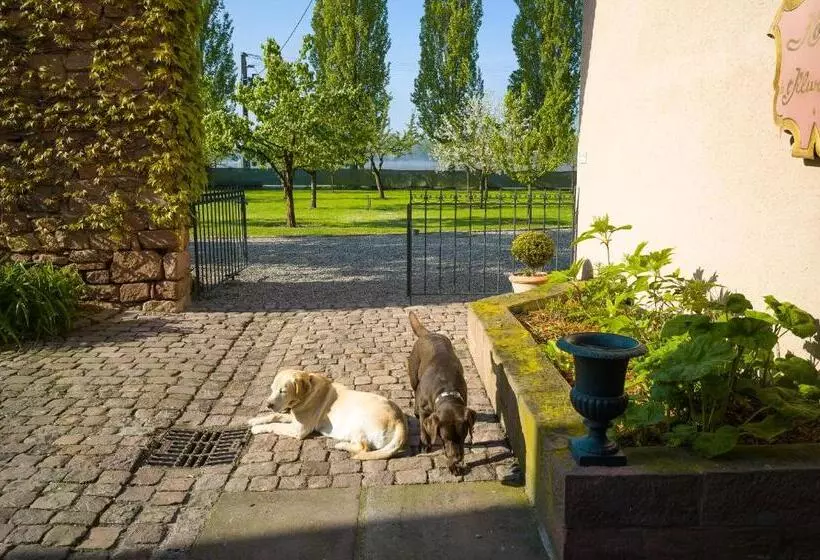 Hotelli Restaurant De L'illwald