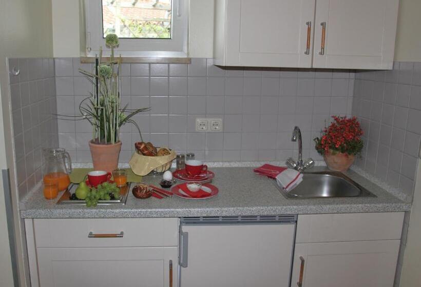 Apart Hotel Pension Roßmayer