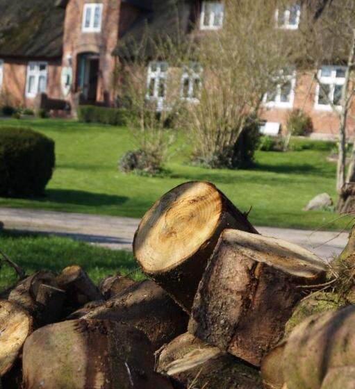 Bed and Breakfast Haus Süderende