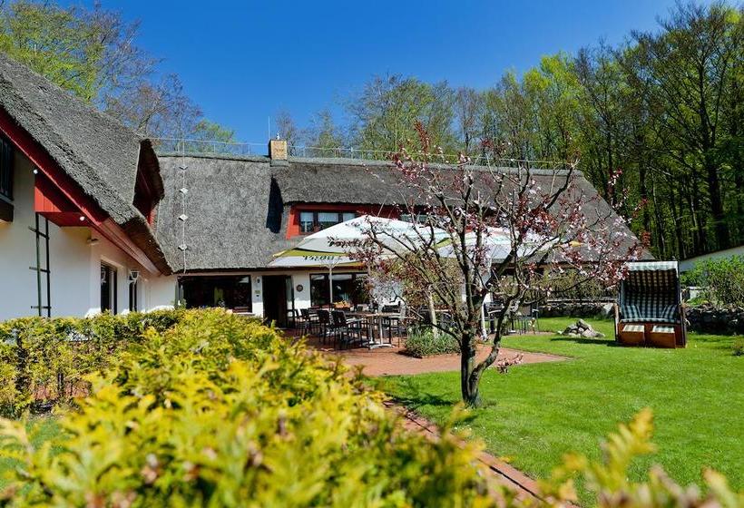 Restaurant & Hotel Baumhaus Hagen