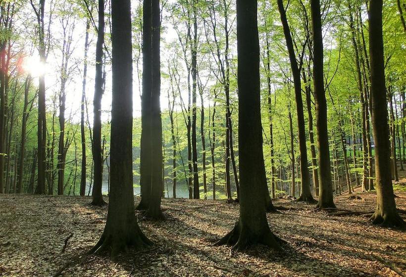 Restaurant & Hotel Baumhaus Hagen
