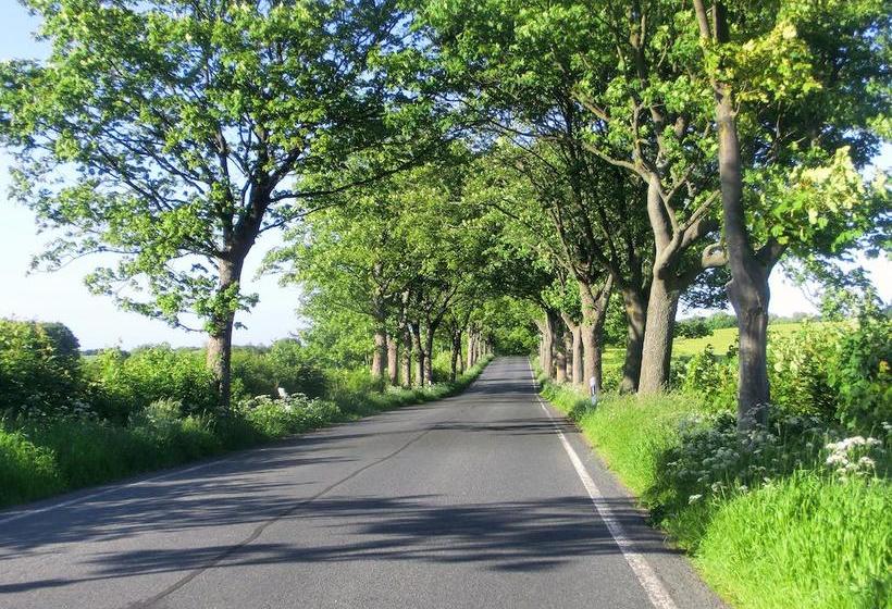 Restaurant & Hotel Baumhaus Hagen