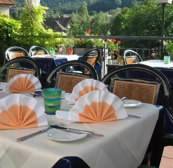هتل Gasthof Zum Adler   Wahlwies