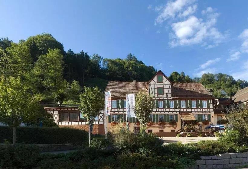 ホテル Gasthof Zum Weyssen Rössle