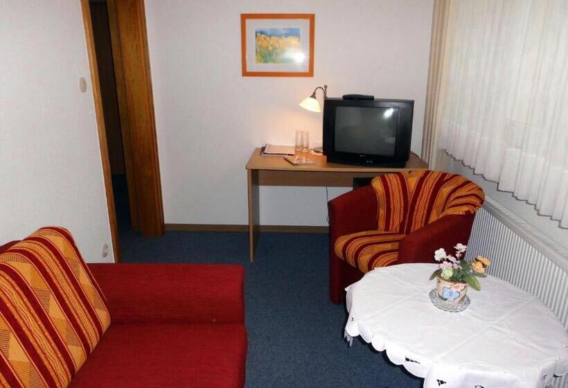 酒店 Haus Hellhohl Garni