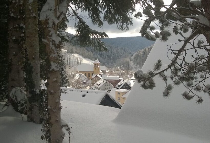 Отель Klösterle Hof