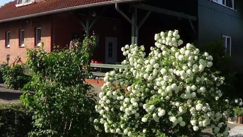 ホテル Marianne Und Restaurant Kiek In