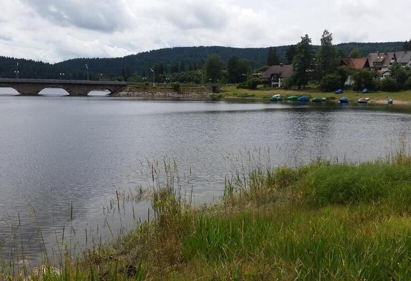 호텔 Pension Am See