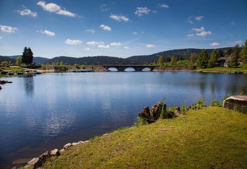 호텔 Pension Am See