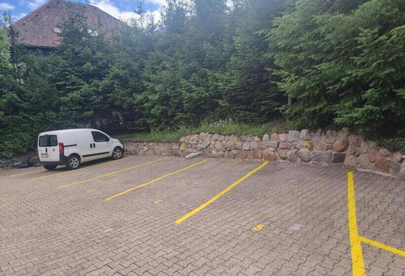 호텔 Pension Am See