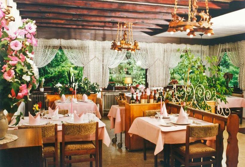 ホテル Schauenburg