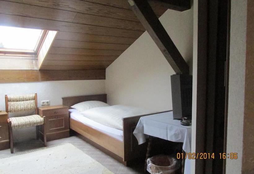 ホテル Schauenburg