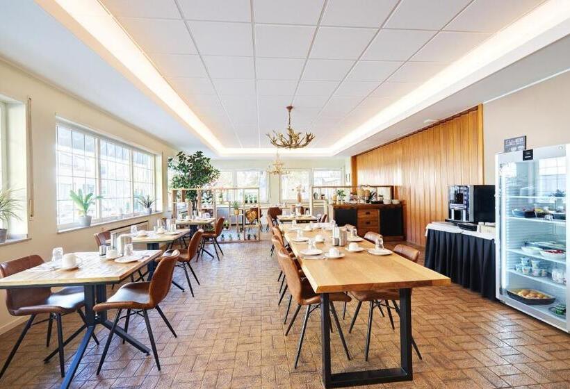 酒店 Stadt Grevenbroich Mit Klimaanlage