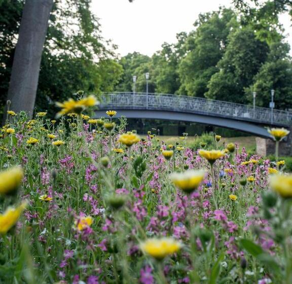 Aparthotel Am Kurpark