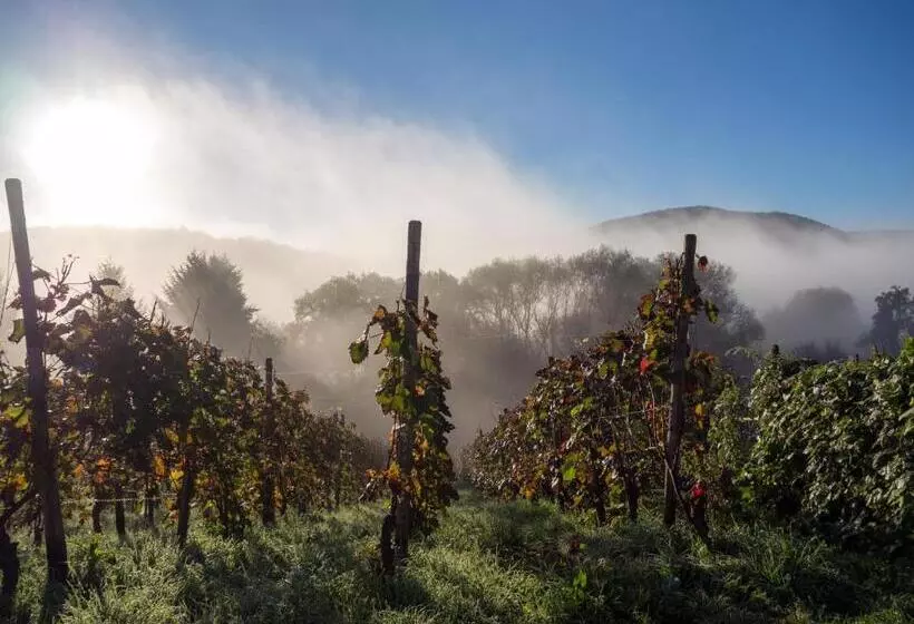 Aparthotel Am Kurpark