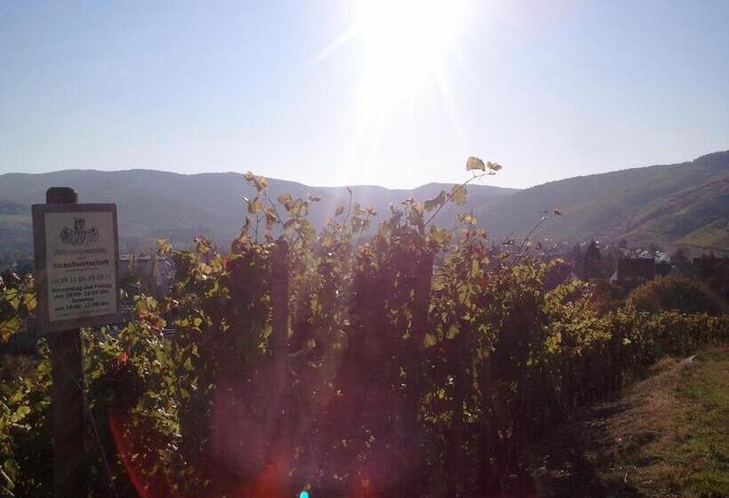 Aparthotel Am Kurpark