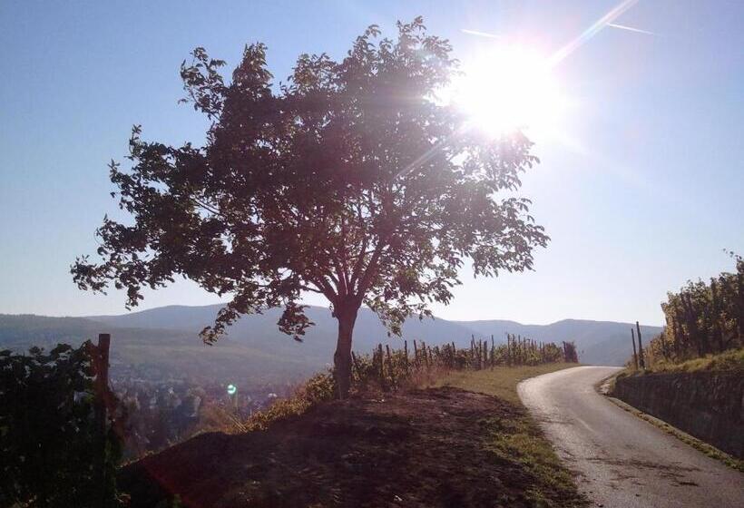 Aparthotel Am Kurpark