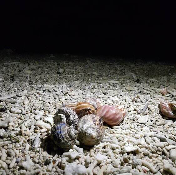 تختخواب و صبحانه 57villa